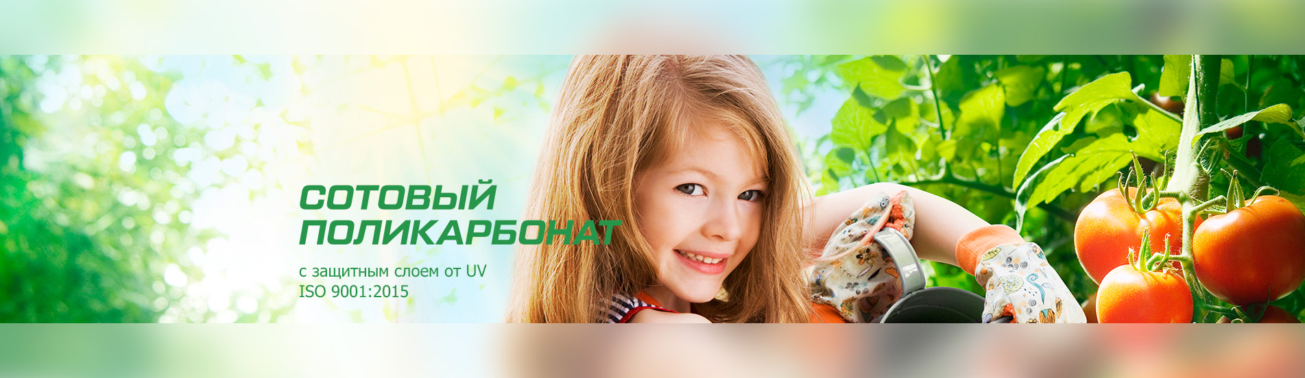 Поликарбонат Кронос Купить В Тюмени